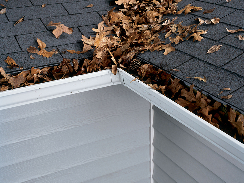 Before Gutter Helmet